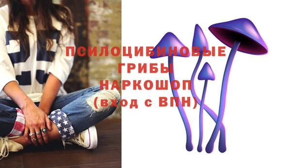 каннабис Алексеевка