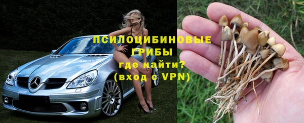 трава Алзамай